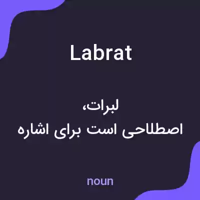 معنی lab rat به فارسی معنی lab rat به فارسی