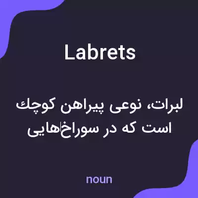 معنی labrets به فارسی معنی labrets به فارسی