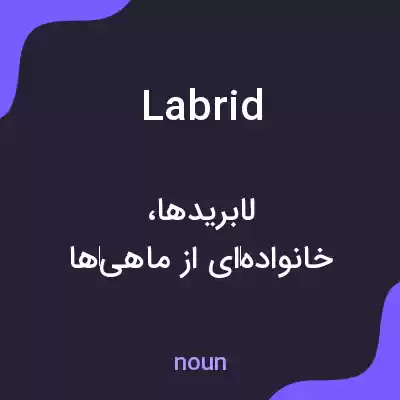 معنی labrid به فارسی معنی labrid به فارسی