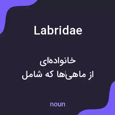 معنی labridae به فارسی معنی labridae به فارسی