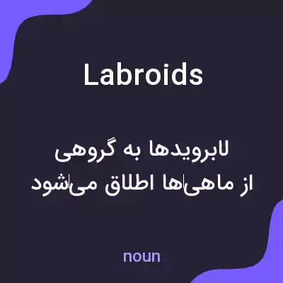 معنی labroids به فارسی معنی labroids به فارسی