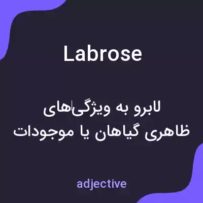 معنی labrose به فارسی معنی labrose به فارسی