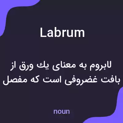 معنی labrum به فارسی معنی labrum به فارسی