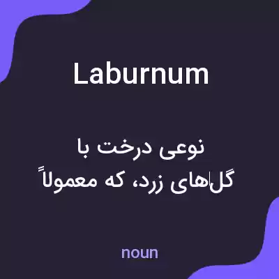 معنی laburnum به فارسی معنی laburnum به فارسی