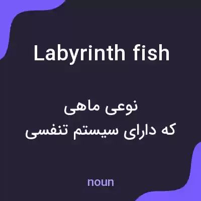 معنی labyrinth fish به فارسی معنی labyrinth fish به فارسی
