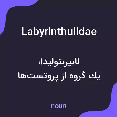 معنی labyrinthulidae به فارسی معنی labyrinthulidae به فارسی