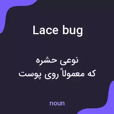 معنی lace bug به فارسی معنی lace bug به فارسی