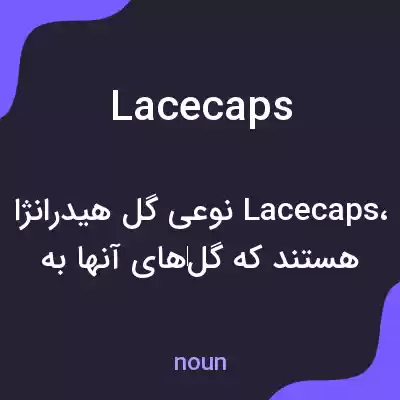 معنی lacecaps به فارسی معنی lacecaps به فارسی