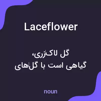 معنی laceflower به فارسی معنی laceflower به فارسی