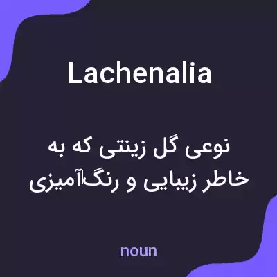 معنی lachenalia به فارسی معنی lachenalia به فارسی
