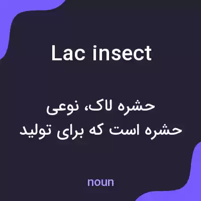 معنی lac insect به فارسی معنی lac insect به فارسی