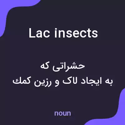 معنی lac insects به فارسی معنی lac insects به فارسی
