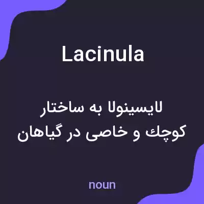 معنی lacinula به فارسی معنی lacinula به فارسی