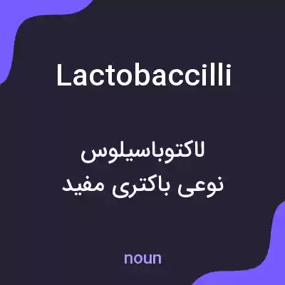 معنی lactobaccilli به فارسی معنی lactobaccilli به فارسی