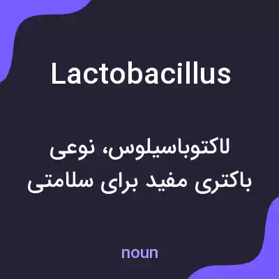 معنی lactobacillus به فارسی