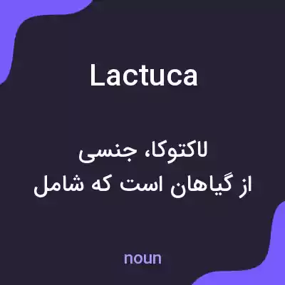 معنی lactuca به فارسی معنی lactuca به فارسی