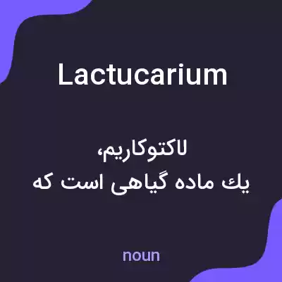 معنی lactucarium به فارسی معنی lactucarium به فارسی