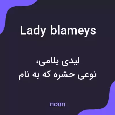 معنی lady blameys به فارسی معنی lady blameys به فارسی