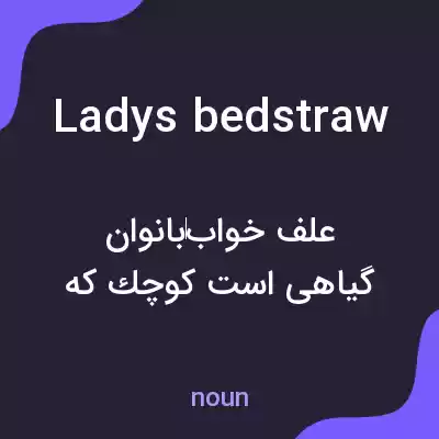 معنی ladys bedstraw به فارسی معنی ladys bedstraw به فارسی