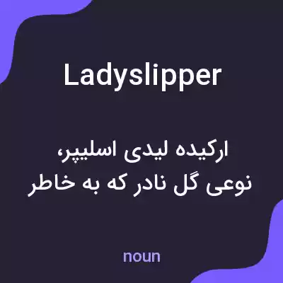 معنی ladyslipper به فارسی معنی ladyslipper به فارسی