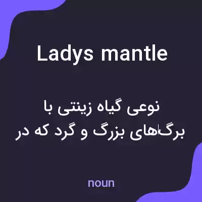 معنی ladys mantle به فارسی معنی ladys mantle به فارسی