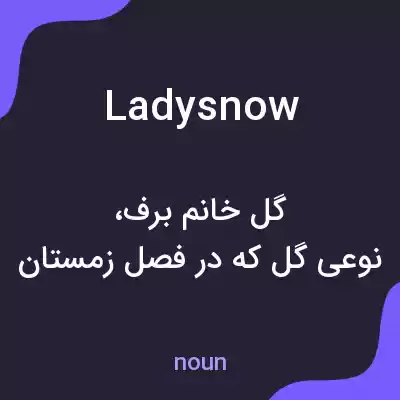 معنی ladysnow به فارسی معنی ladysnow به فارسی
