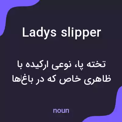 معنی ladys slipper به فارسی معنی ladys slipper به فارسی