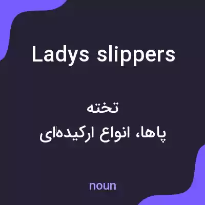 معنی ladys slippers به فارسی معنی ladys slippers به فارسی