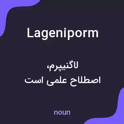 معنی lageniporm به فارسی معنی lageniporm به فارسی