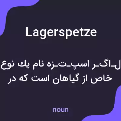 معنی lagerspetze به فارسی معنی lagerspetze به فارسی