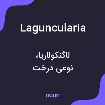 معنی laguncularia به فارسی معنی laguncularia به فارسی