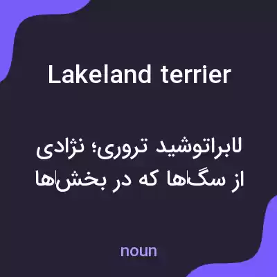 معنی lakeland terrier به فارسی معنی lakeland terrier به فارسی