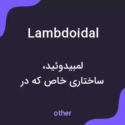 معنی lambdoidal به فارسی معنی lambdoidal به فارسی