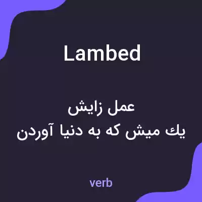 معنی lambed به فارسی معنی lambed به فارسی