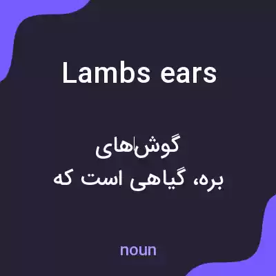 معنی lambs ears به فارسی معنی lambs ears به فارسی