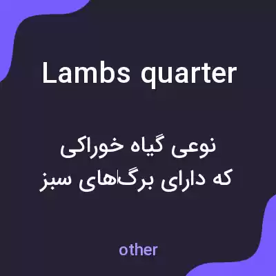 معنی lambs quarter به فارسی معنی lambs quarter به فارسی