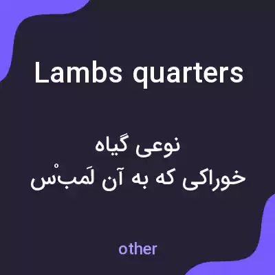 معنی lambs quarters به فارسی معنی lambs quarters به فارسی