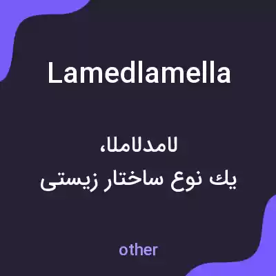 معنی lamedlamella به فارسی معنی lamedlamella به فارسی