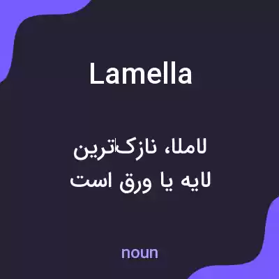 معنی lamella به فارسی معنی lamella به فارسی