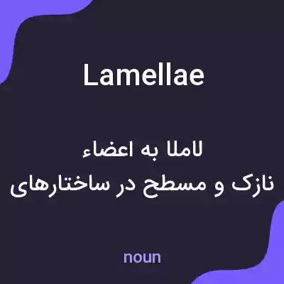 معنی lamellae به فارسی معنی lamellae به فارسی