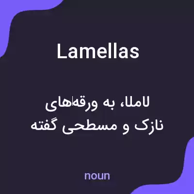 معنی lamellas به فارسی معنی lamellas به فارسی