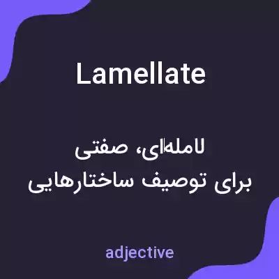 معنی lamellate به فارسی معنی lamellate به فارسی