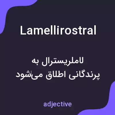 معنی lamellirostral به فارسی معنی lamellirostral به فارسی