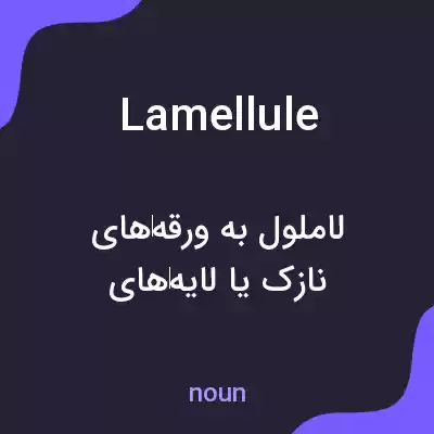 معنی lamellule به فارسی معنی lamellule به فارسی