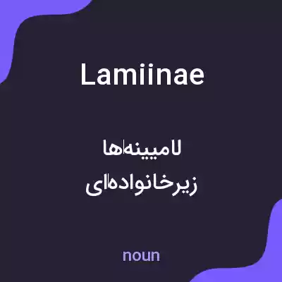 معنی lamiinae به فارسی معنی lamiinae به فارسی