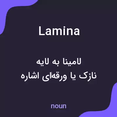 معنی lamina به فارسی معنی lamina به فارسی