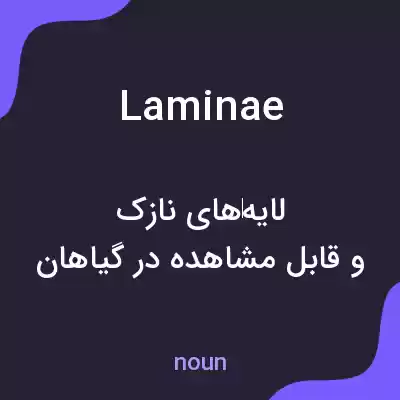 معنی laminae به فارسی معنی laminae به فارسی
