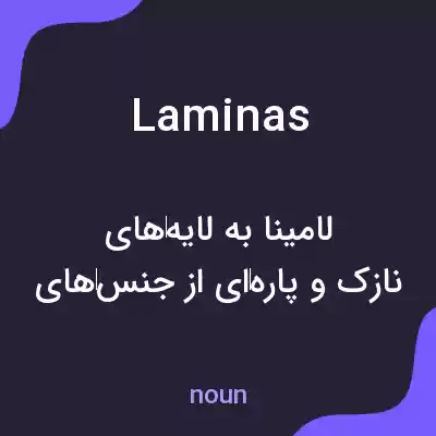 معنی laminas به فارسی معنی laminas به فارسی