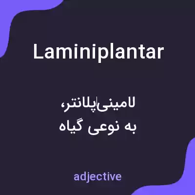 معنی laminiplantar به فارسی معنی laminiplantar به فارسی