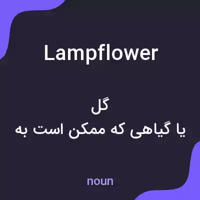 معنی lampflower به فارسی